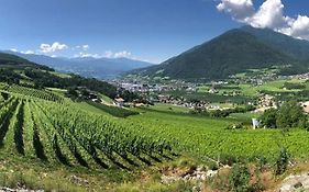 Buehlerhof Agriturismo, Obst-&Weingut, Urlaub Mit Hund, Bauernhof, Brixen
